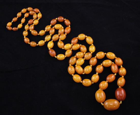 A single strand graduated oval amber bead necklace, 48in.